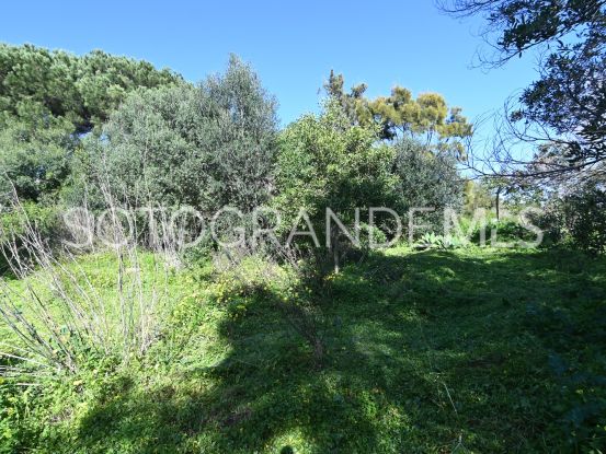 For sale Sotogrande Alto plot | BM Property Consultants