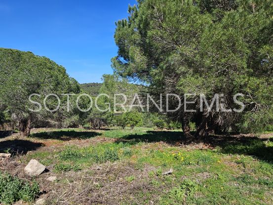 La Reserva plot for sale | Consuelo Silva Real Estate