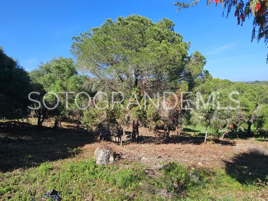 Buy plot in La Reserva, Sotogrande | Consuelo Silva Real Estate