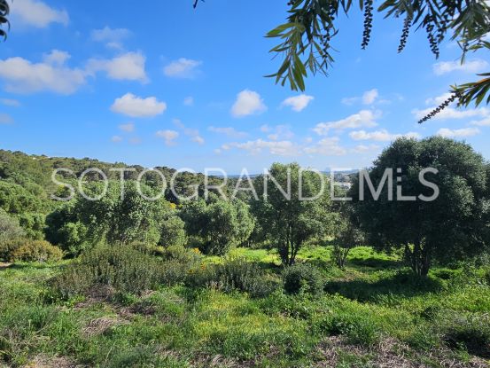 For sale La Reserva plot | Consuelo Silva Real Estate