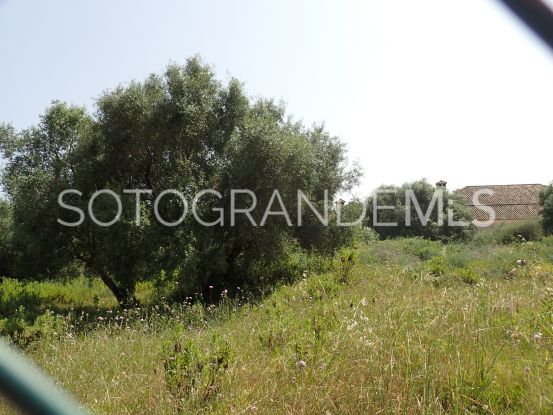 Plot for sale in Sotogrande Alto | Consuelo Silva Real Estate