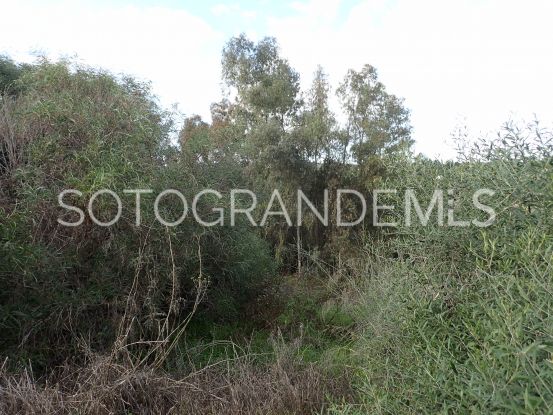 Plot in Sotogrande Costa | Consuelo Silva Real Estate
