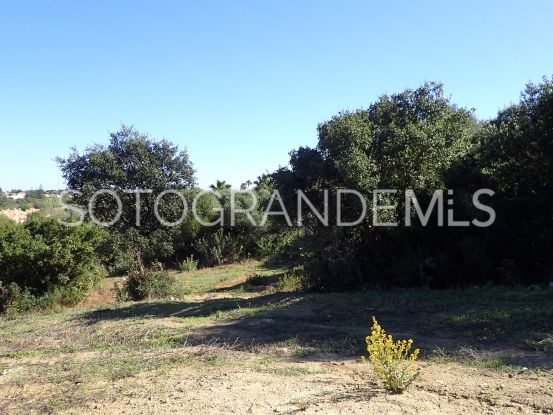 Parcela a la venta en Sotogrande Alto | Consuelo Silva Real Estate