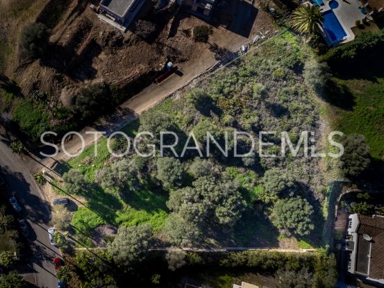 Sotogrande Alto plot for sale | Consuelo Silva Real Estate