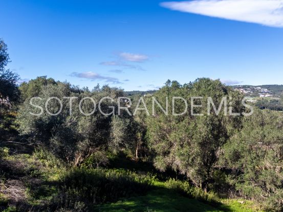 Parcela a la venta en Sotogrande Alto | Consuelo Silva Real Estate