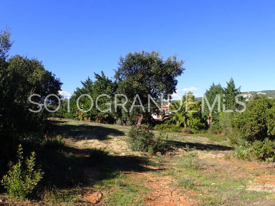 Parcela a la venta en Sotogrande Alto | Consuelo Silva Real Estate