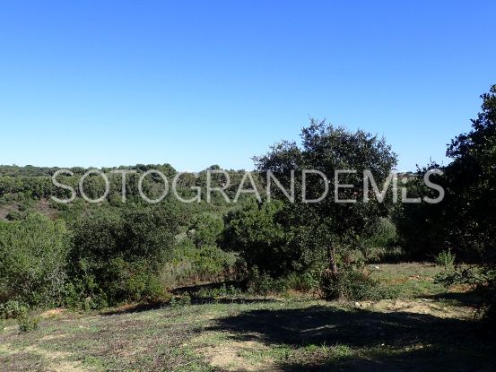 Parcela a la venta en Sotogrande Alto | Consuelo Silva Real Estate