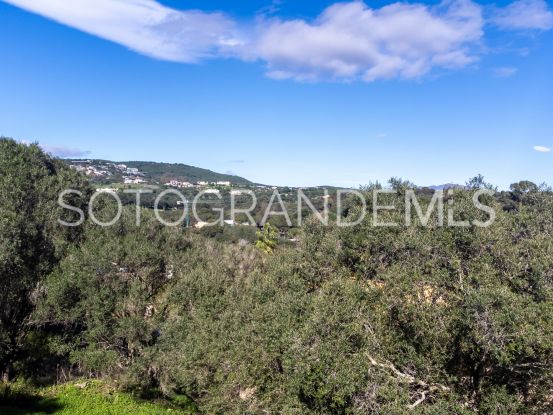 Parcela a la venta en Sotogrande Alto | Consuelo Silva Real Estate