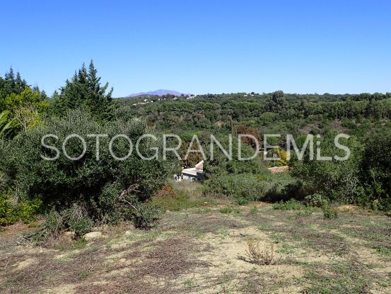 Parcela a la venta en Sotogrande Alto | Consuelo Silva Real Estate