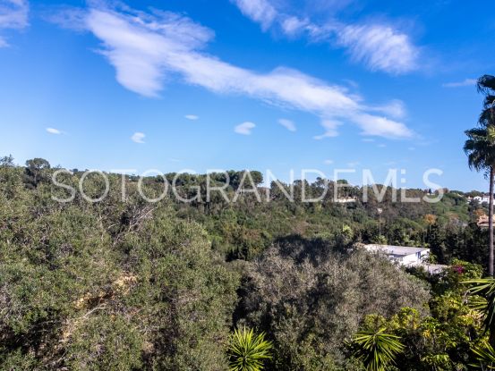 Parcela a la venta en Sotogrande Alto | Consuelo Silva Real Estate