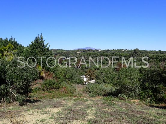 Parcela a la venta en Sotogrande Alto | Consuelo Silva Real Estate