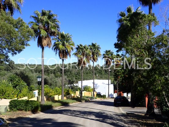 Parcela a la venta en Sotogrande Alto | Consuelo Silva Real Estate