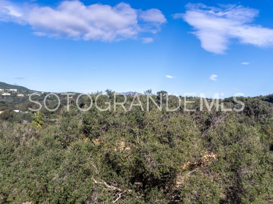 Parcela a la venta en Sotogrande Alto | Consuelo Silva Real Estate