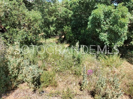 Sotogrande Alto plot for sale | Consuelo Silva Real Estate