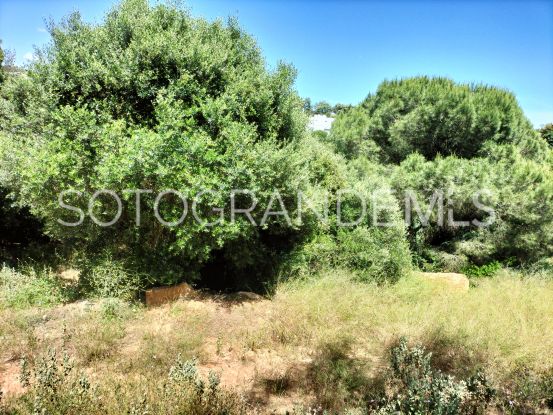 Sotogrande Alto plot for sale | Consuelo Silva Real Estate