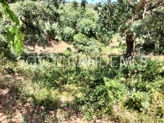 Sotogrande Alto plot for sale | Consuelo Silva Real Estate