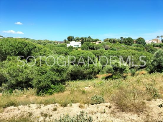 Comprar parcela en Sotogrande Alto | Consuelo Silva Real Estate
