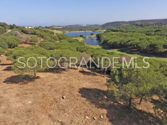 Almenara, Sotogrande Alto, parcela a la venta | Holmes Property Sales