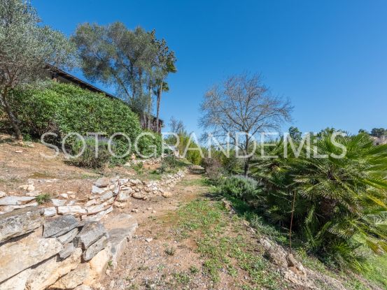 5 bedrooms villa for sale in Sotogrande Costa Central | Holmes Property Sales