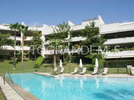 Buy apartment in Polo Gardens | Holmes Property Sales