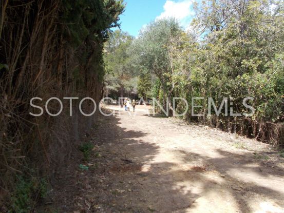 Plot in Kings & Queens for sale | Holmes Property Sales
