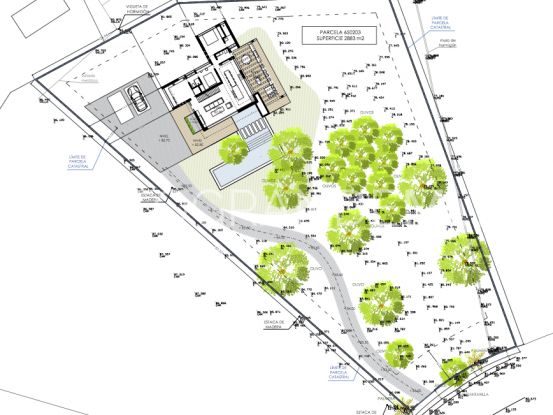 Parcela a la venta en Sotogrande Alto | Holmes Property Sales