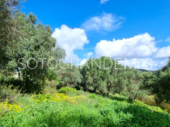 Parcela a la venta en Sotogrande Alto | Holmes Property Sales