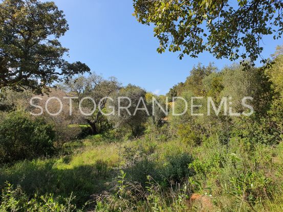 For sale Los Altos de Valderrama plot | Holmes Property Sales