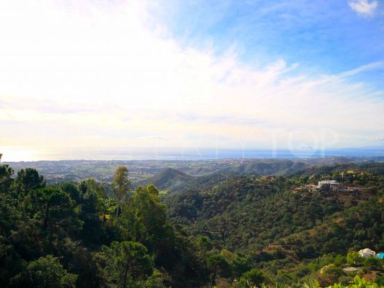 La Zagaleta 6 bedrooms villa for sale | Nvoga Marbella Realty