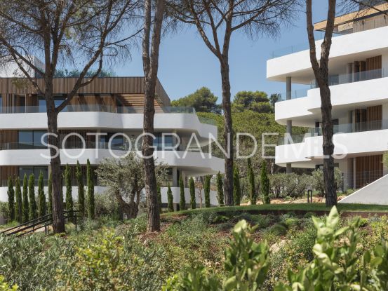 Apartment in Sotogrande | Rhead Estates