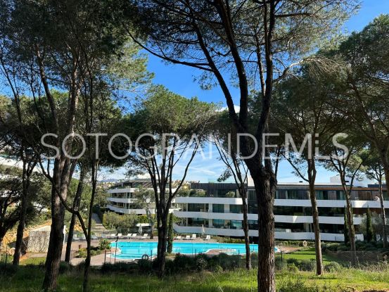 Sotogrande 1 bedroom ground floor apartment | Schellhammer Estates