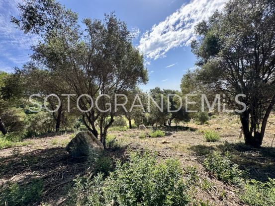 Parcela a la venta en La Reserva, Sotogrande | Schellhammer Estates