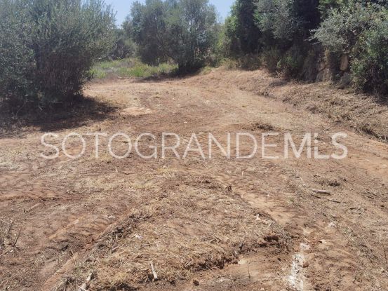For sale plot in Sotogrande Alto | Schellhammer Estates