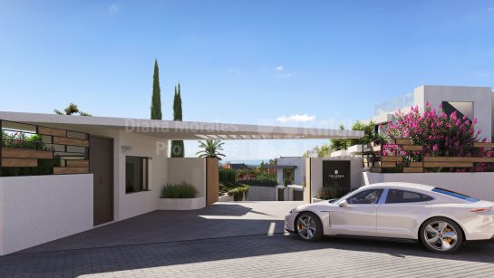 Immobilienprojekt in Nueva Andalucia