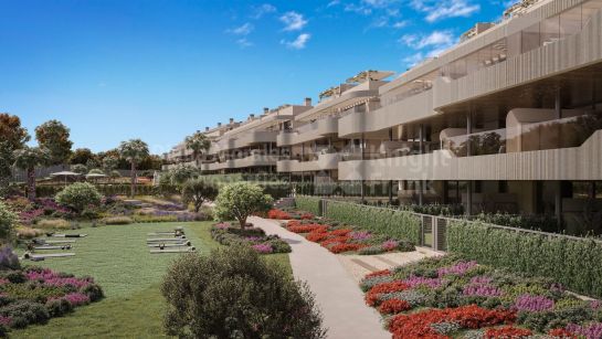 Property Development in El Paraiso