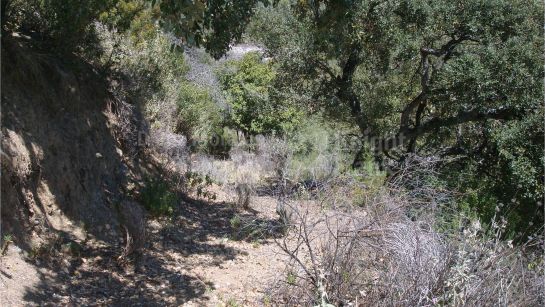 Plot for sale in La Zagaleta, Benahavis