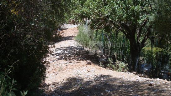 Plot for sale in La Zagaleta, Benahavis