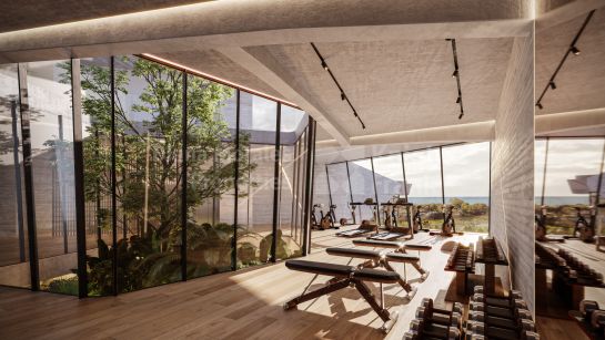 Property Development in Las Chapas