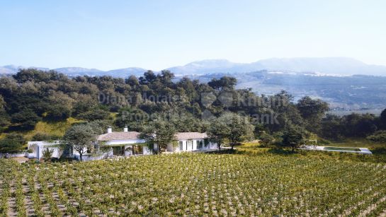 Développement de propriétés à Ronda