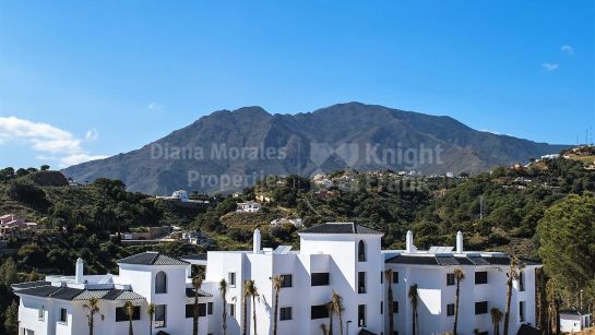 Property Development in Estepona