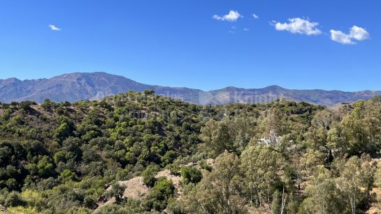 Terrain à vendre à La Panera, Estepona Est