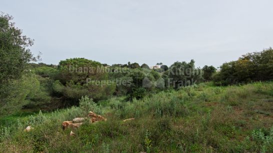Terrain à vendre à Sotogrande