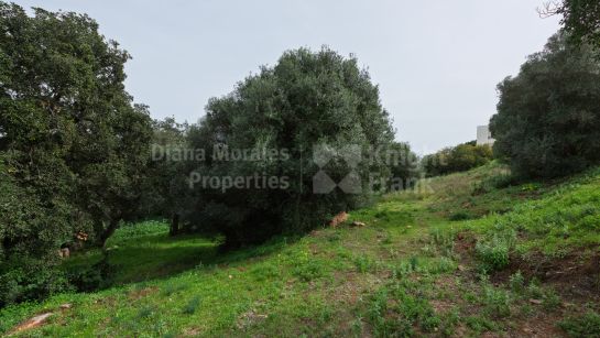 Terrain à vendre à Sotogrande