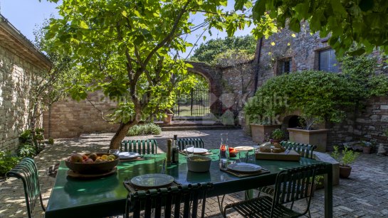 Estate à vendre à Montalcino