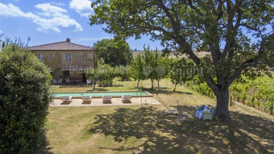 Estate à vendre à Montalcino