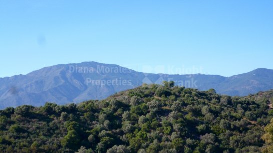 Plot for sale in La Panera, Estepona East