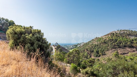 Grundstück zum Verkauf in El Madroñal, Benahavis