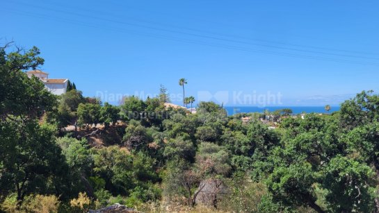 Parcela en venta en Elviria, Marbella Este