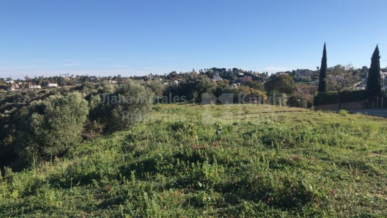 Plot for sale in Almenara, Sotogrande