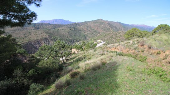 Parcela en venta en Monte Mayor, Benahavis